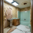 Remodeling with Pets